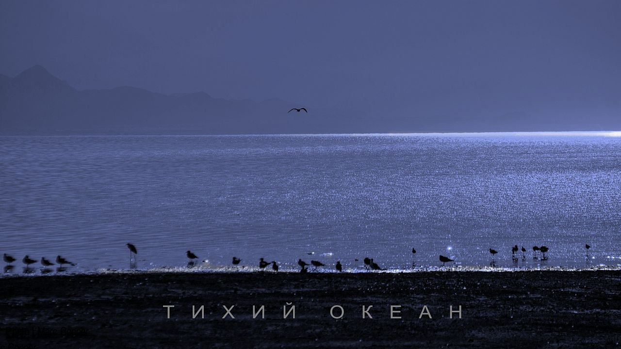 Aihan тихий океан. Тихий океан Кучин. Песня тихий океан Кучин.