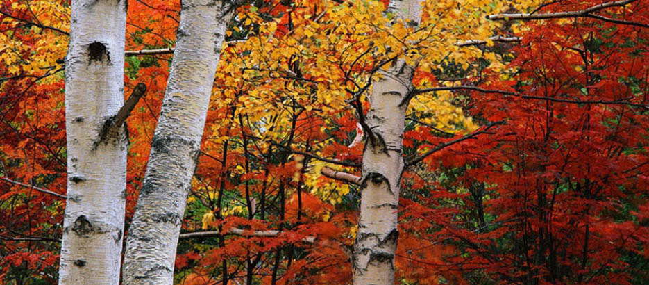 Так, кем же я был для тебя?