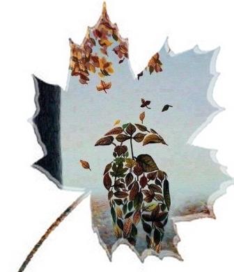 Срывается лист