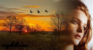 Попробую рискнуть