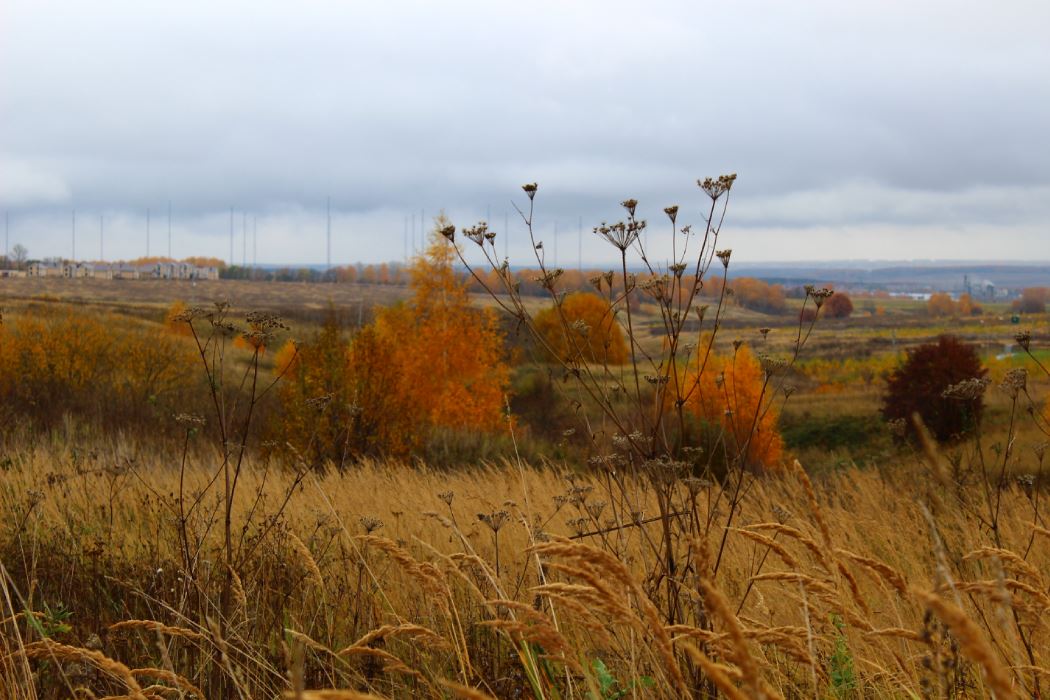 Окский Берег