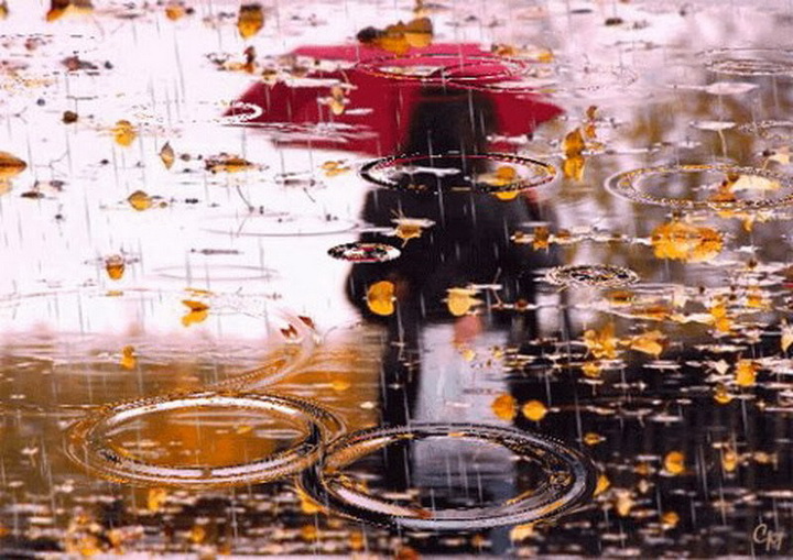 Шорох опавшей листвы под ногами (Ольга Бурыгина) / Стихи.ру