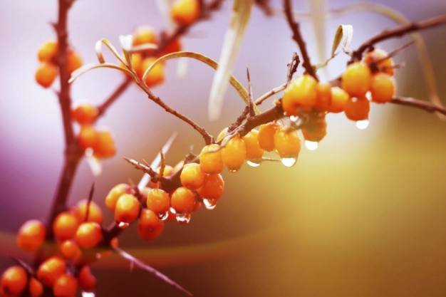 Осенний вечер