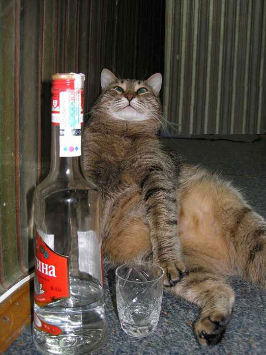 Всегда стою в любви на страже!