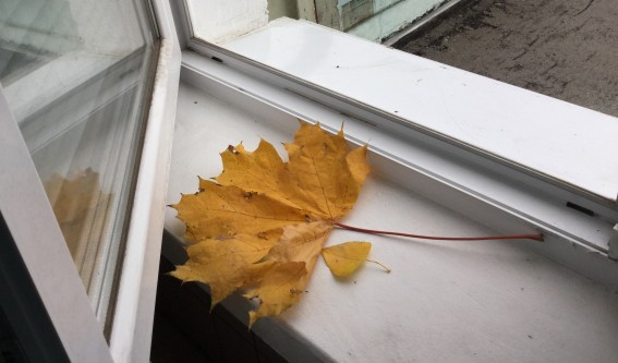 Осень в окно заглянула