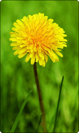 Подари мне тепло