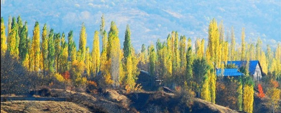 Пробабьелето