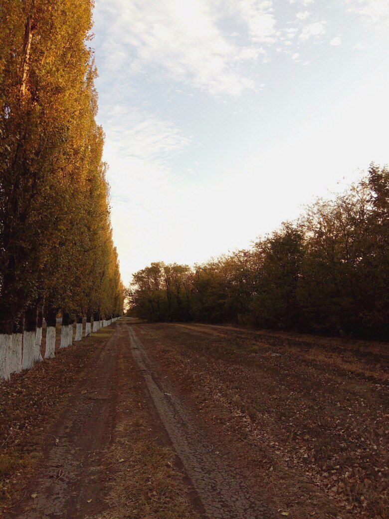 Дороги бренной колея