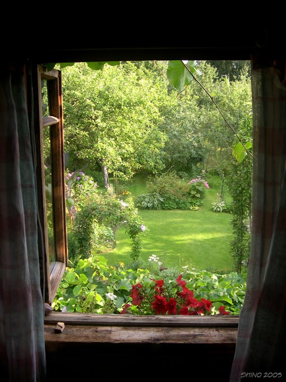 Из окна видна река. Окно с видом на природу. Вид из окна на сад. Вид из деревенского окна. Природа за окном.