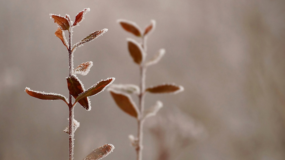Ты перешла на Вы...