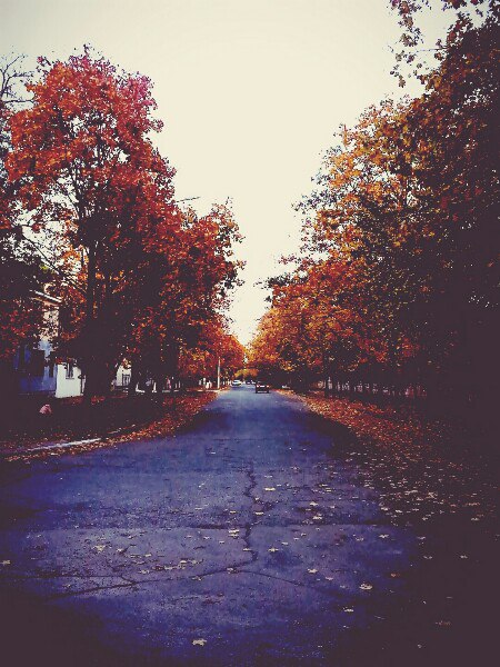 Грустная осень