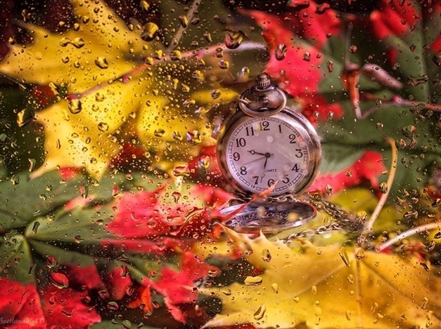 Мир непонятный