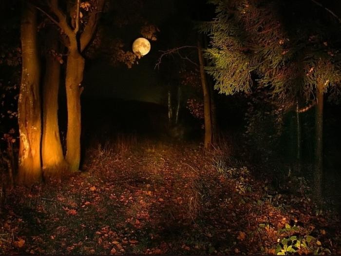 Осенним вечером в раздумьях...