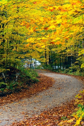 Время листопада