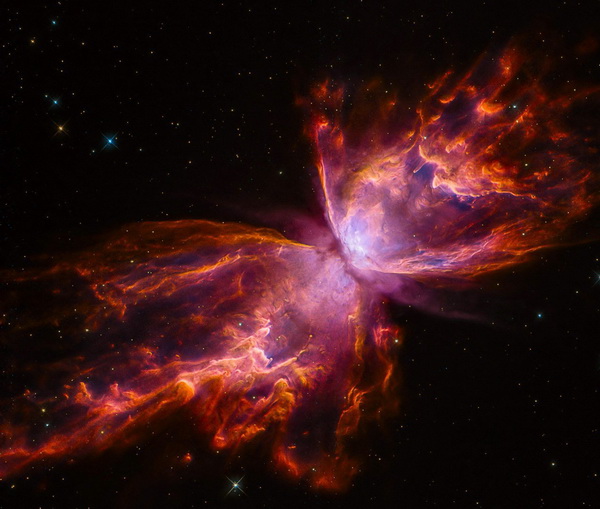 Шутки любви