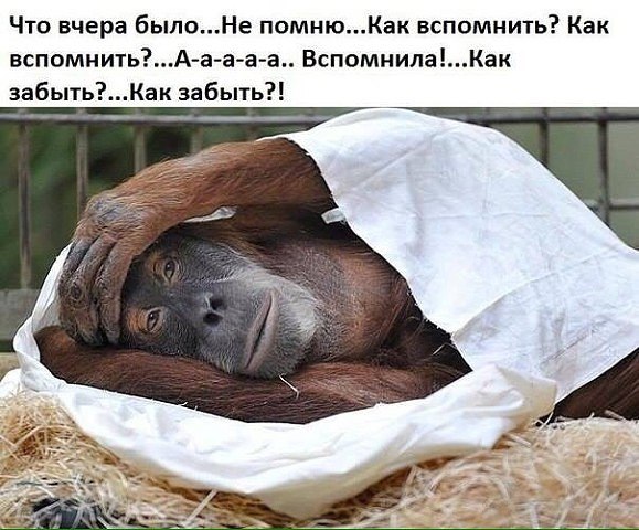 И поклонись Судьбе