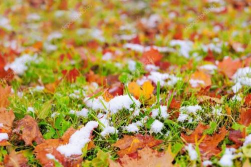 Ночная разведка