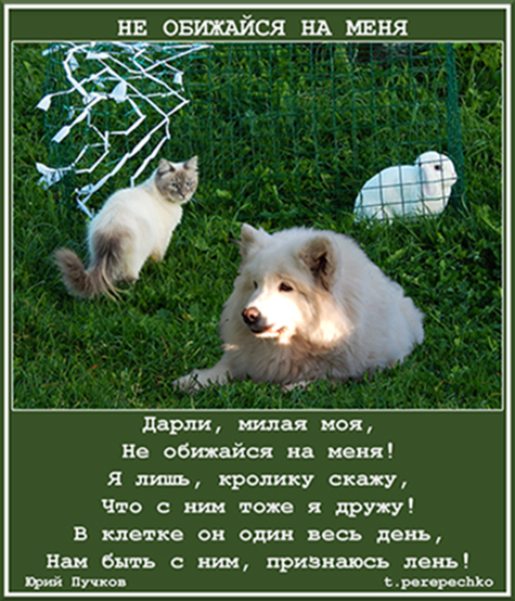 Открытка Не Обижайся Мужчине