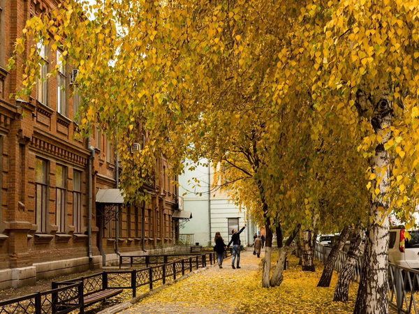 Линия судьбы