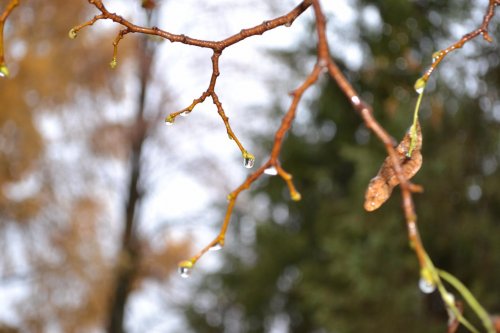 Письмо деду... К решению Польши о сносе памятников