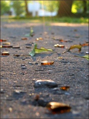 Последний летний день