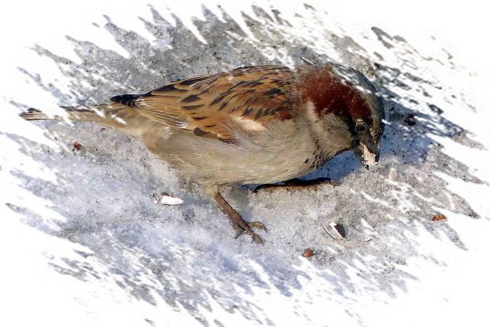 Смелая осень