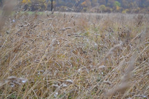 Я питаю в себе Бога...