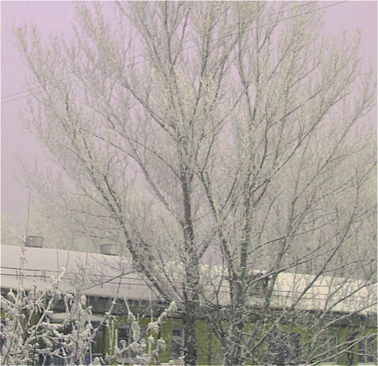 Снова мороз