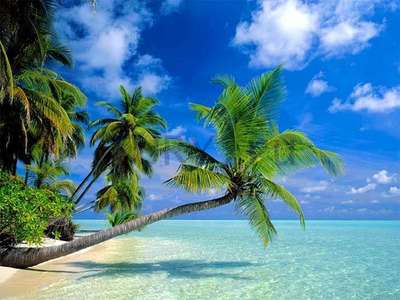 Желаю Светлане