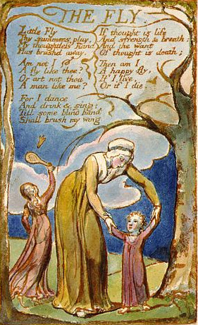 The Fly W. Blake Мотылёк В. Блейк Первый вариант