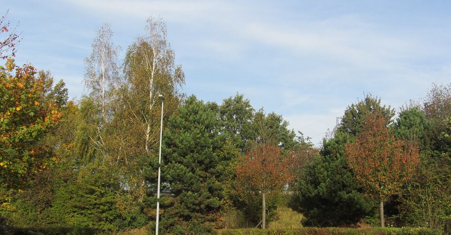 Так... о осени