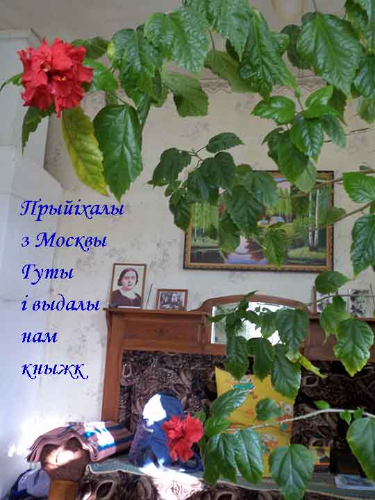 На нас жэ ны мыш ны доносыв