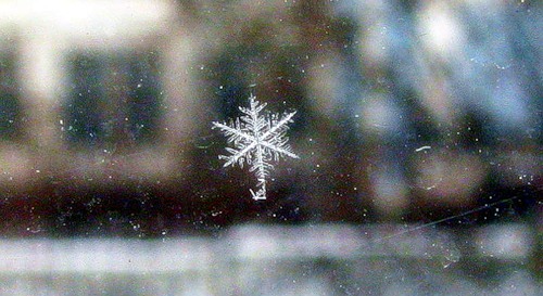 В одиночестве