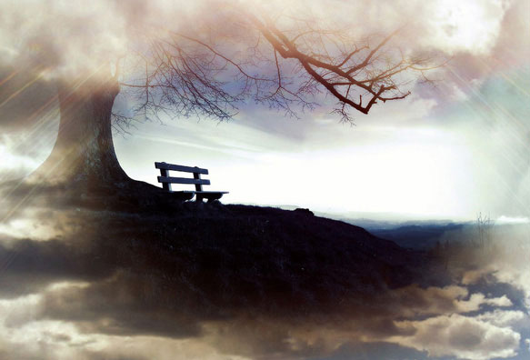 И звёздами дарована свобода...