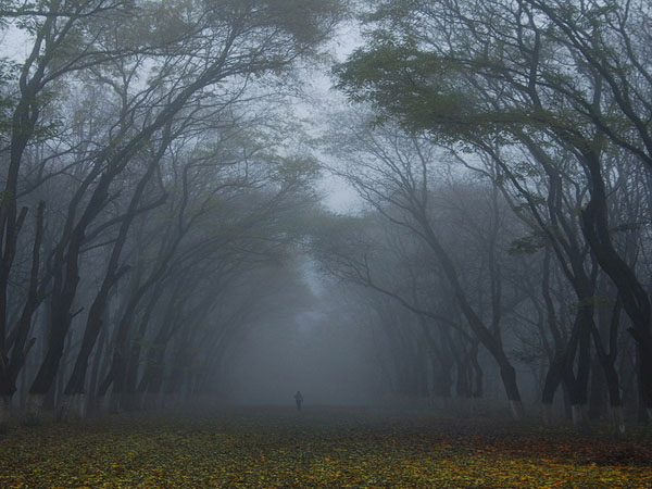 Чёрное и серое
