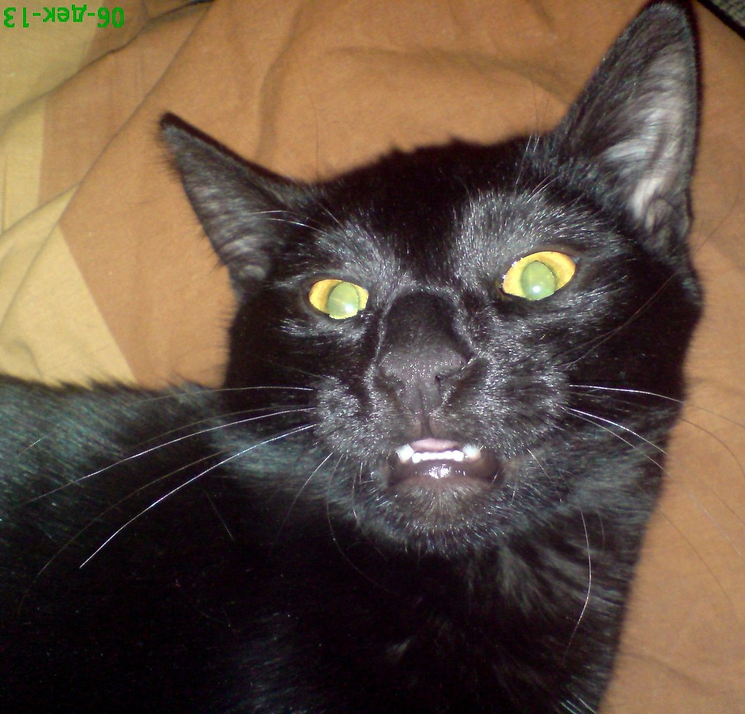 Воланд, точно Воланд!