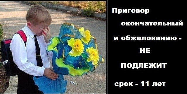 Мем начало учебного года