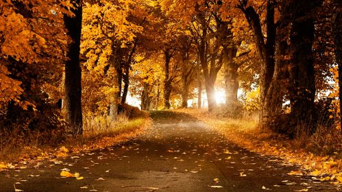 С осенью, удобно