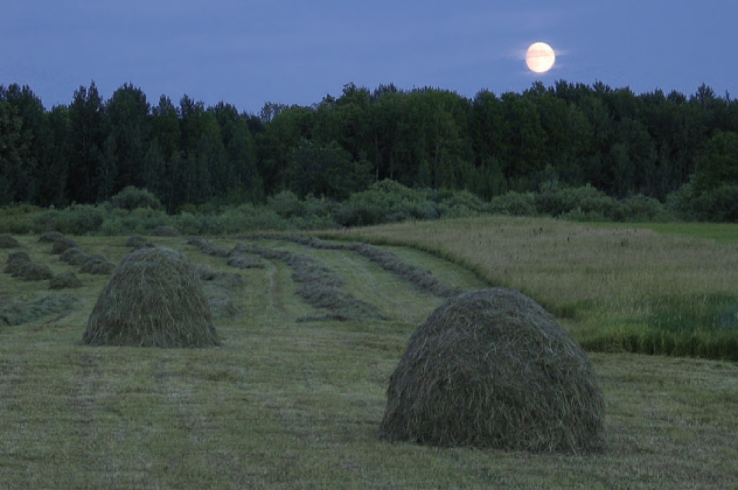 Ходит месяц над лугами слова. Поле ночью. Ходить над лугами. Полный месяц встал над лугом. Прокофьев ходит месяц над лугами.