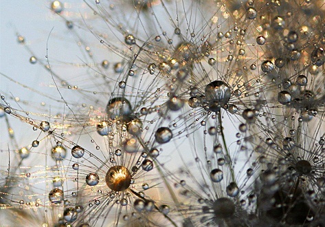 Как больно предательство ранит