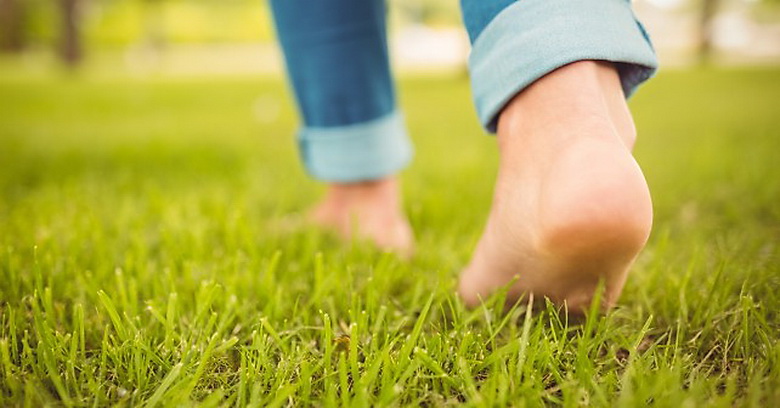 Приснилось чудо