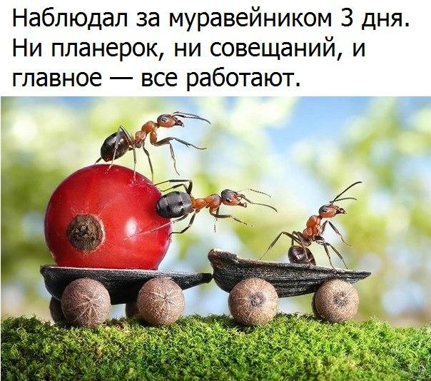 От восхода до заката...