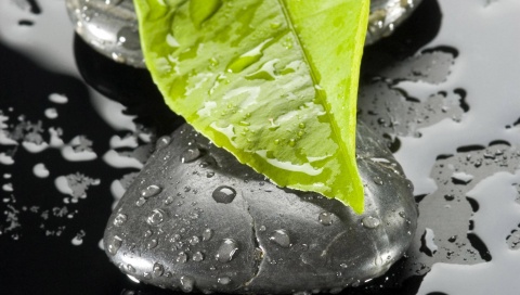 Что за звук? как будто в вышине...