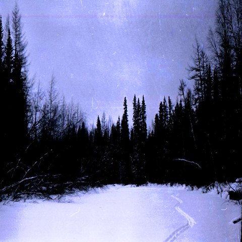 Где Безмолвие кроной леса...