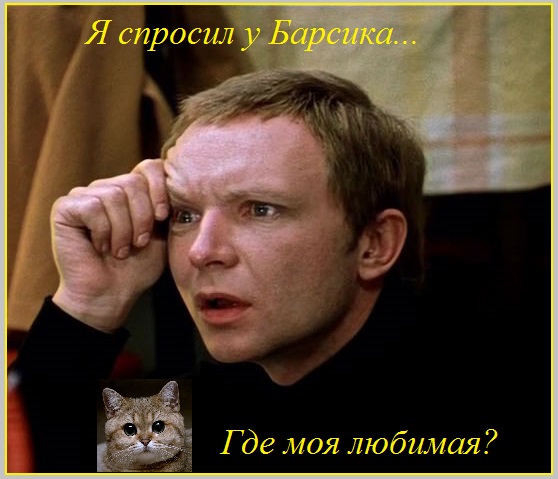 Я спросил у Барсика. Где моя любимая?