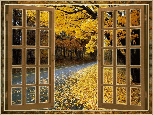 Первый день ноября