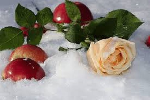 Заглянул ноябрь в окно