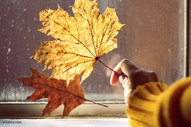 Померкли краски октября