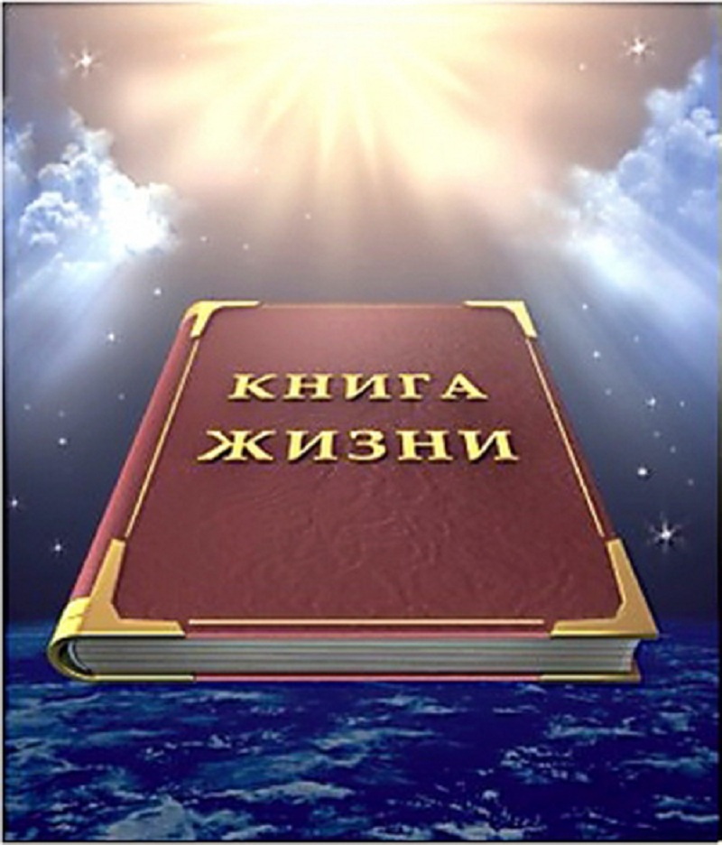 Книга в жизни человека пример
