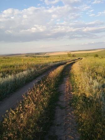 Дороги. Веселинка Стойкович